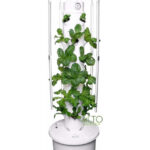 aeroponic tower garden