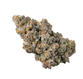 Biscotti cannabis