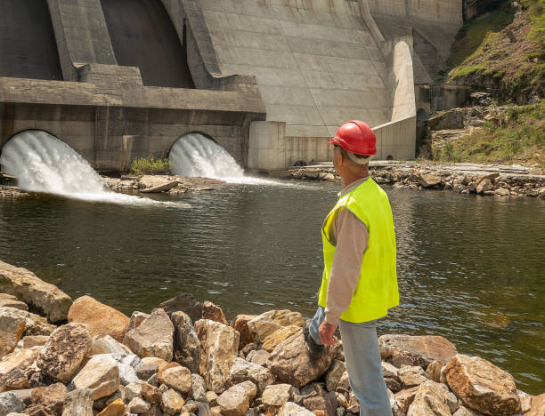 How Does Dam Building Affect the Environment?